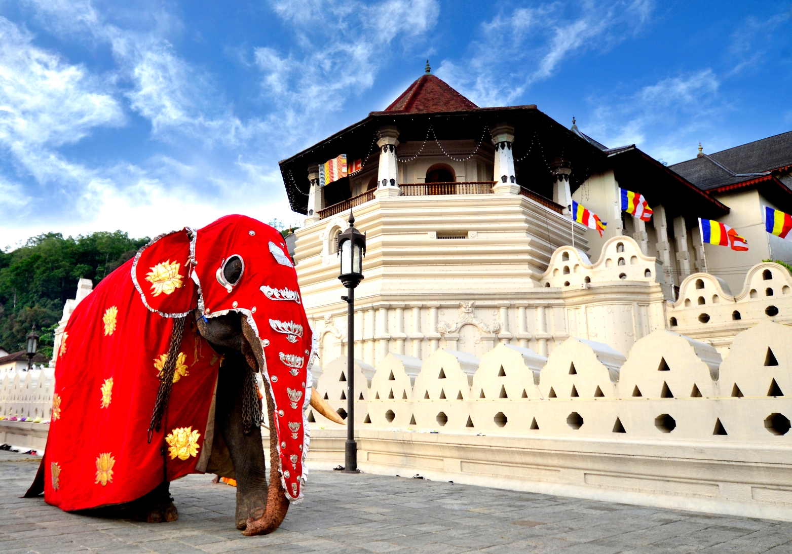 Explore Sri Lanka’s Rich Cultural Heritage